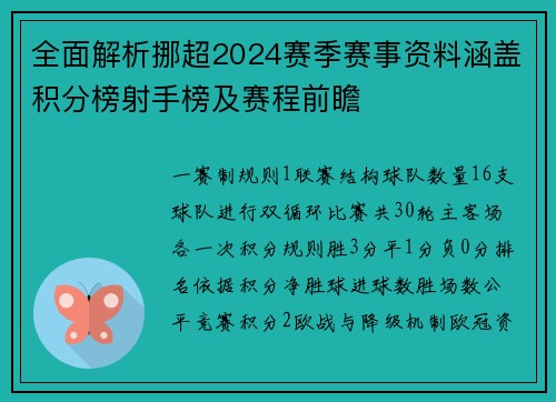 全面解析挪超2024赛季赛事资料涵盖积分榜射手榜及赛程前瞻